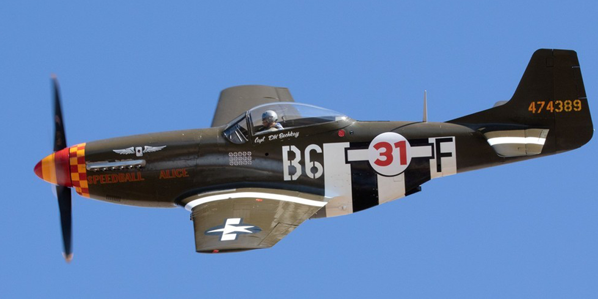 P-51 "Speedball Alice"
Dan Vance